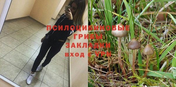 прущие крисы Волосово