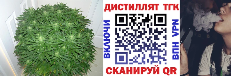 гидра сайт  Гаджиево  площадка как зайти  ТГК жижа 