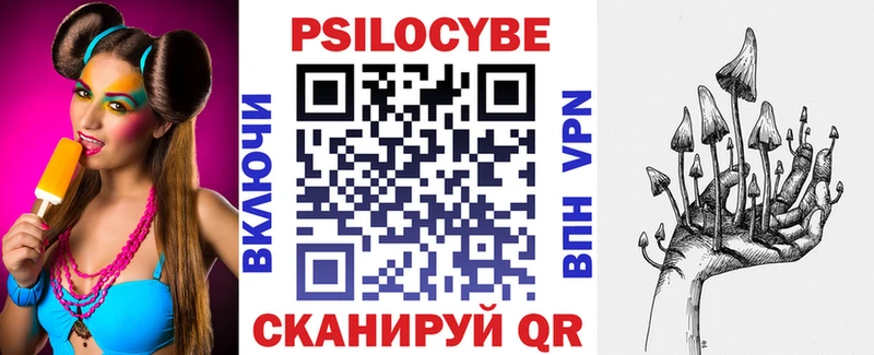 где купить наркоту  Гаджиево  Галлюциногенные грибы Psilocybe 